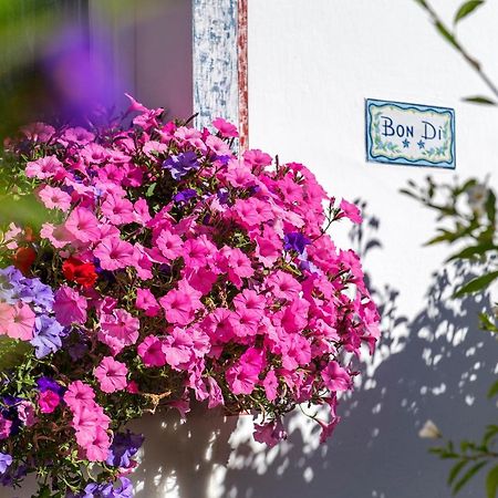 Bed and Breakfast Garni Bondi Selva di Val Gardena Zewnętrze zdjęcie